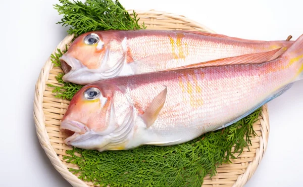 Beneficios del Tilefish