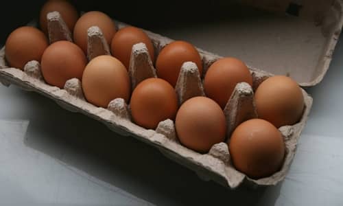 단백질 많은 음식 - 계란
