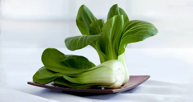 Beneficios del bok choy