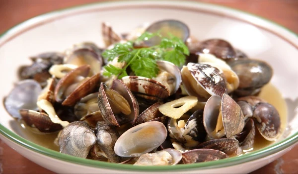 Manila clam benefits