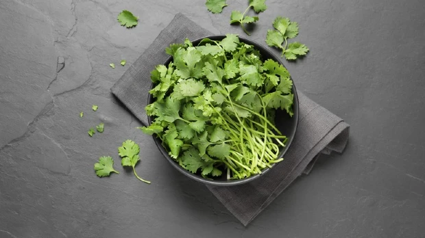 Beneficios del cilantro